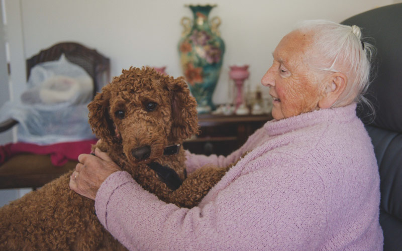Photo of elderly lady wearing pink jumper with large fluffy dog on her knee